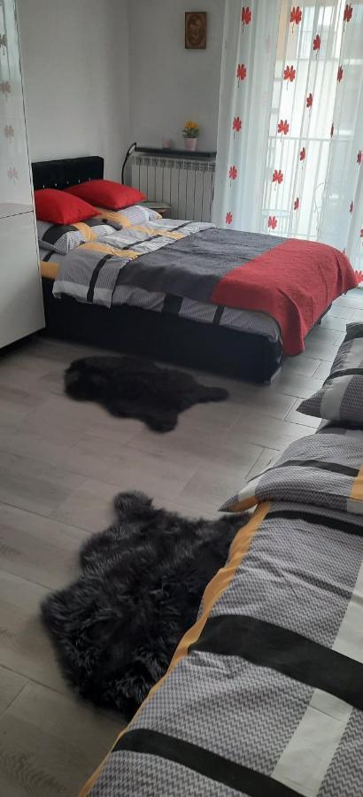 Apartament 59 Justi Zator Luaran gambar